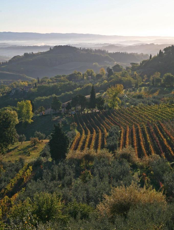 Agriturismo & Winery Il Bacio Tavarnelle Val di Pesa Extérieur photo