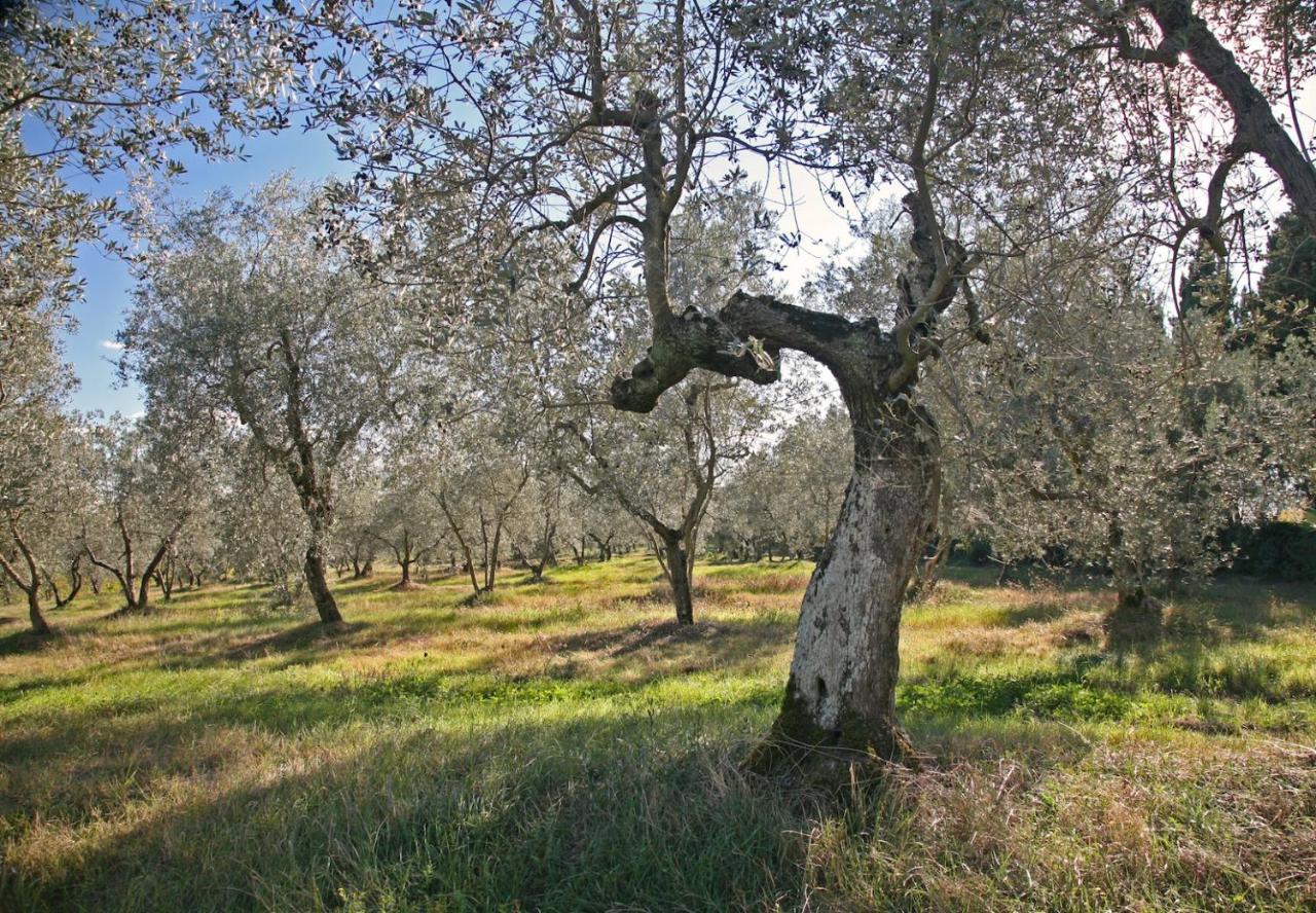 Agriturismo & Winery Il Bacio Tavarnelle Val di Pesa Extérieur photo