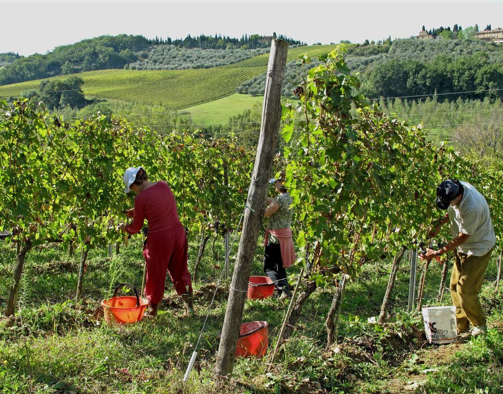 Agriturismo & Winery Il Bacio Tavarnelle Val di Pesa Extérieur photo
