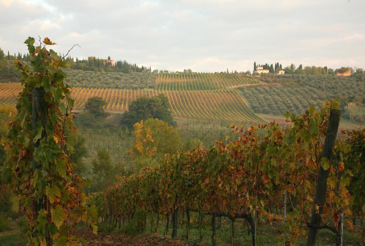 Agriturismo & Winery Il Bacio Tavarnelle Val di Pesa Extérieur photo